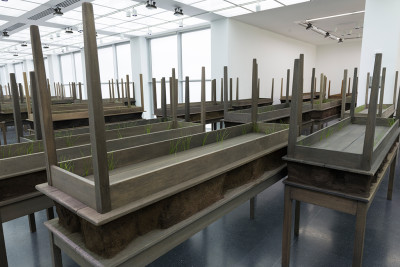 Doris Salcedo <em>Plegaria Muda</em> (detail), 2008–10 Wood, concrete, earth, and grass 166 parts, each: 64 5/8 x 84 1/2 x 24 in. (164 x 214 x 61 cm) Overall dimensions variable Installation view, <em>Doris Salcedo</em>, MCA Chicago Inhotim Collection, Brazil Photo: Nathan Keay, © MCA Chicago